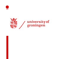 Rug Sticker by University of Groningen