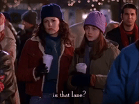 season 2 netflix GIF by Gilmore Girls 