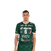 2-1 Virtu Sticker by Aluron CMC Warta Zawiercie