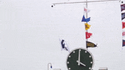 Chicago Cubs Flags GIF by TheDreamTeam 