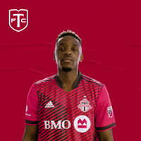 Major League Soccer No GIF by Toronto FC