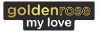Activewear Sticker by goldenrose