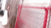 irlcam GIF by Johanna Kenney
