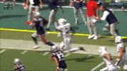 Mike Vrabel Nfl GIF by New England Patriots