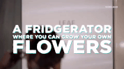 cannabis leaf GIF by MOST EXPENSIVEST