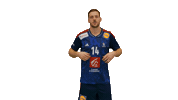 Ffhandball Kentinmahe Sticker by Fédération Française de Handball