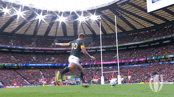 south africa kick GIF by World Rugby