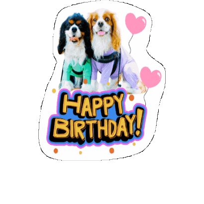 Cavalierkingcharlesspaniel Sticker