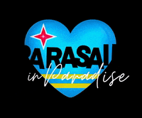 Aruba GIF by parasailinginaruba