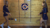 cnvb 2018cnvb GIF by Carson-Newman Athletics