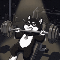 Crypto Gym GIF by MAME | The last shiba