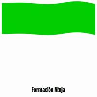Flag Spain GIF by Formación Ninja