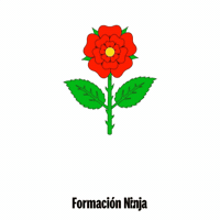 Flag Spain GIF by Formación Ninja