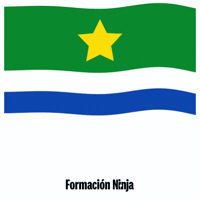 Castilla Y Leon Flag GIF by Formación Ninja