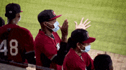 Milwaukee Brewers Dancing GIF by Carolina Mudcats Baseball
