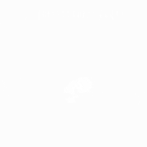 konstantinvsedegov giphygifmaker GIF