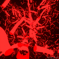 Art Glow GIF by Pi-Slices