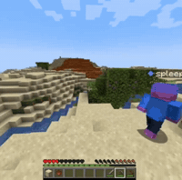 Minecraft GIF