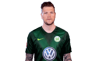 Instagram Sticker Sticker by VfL Wolfsburg