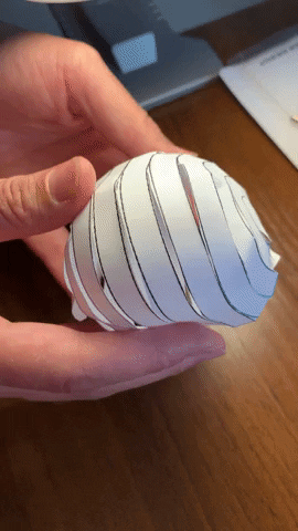 shoroqalanani giphyupload GIF