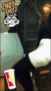 Bar Fiesta GIF by Zhot Shotz