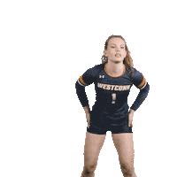 University Volleyball Sticker by WCSU