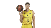 Liga Endesa Spinning Sticker by ACB