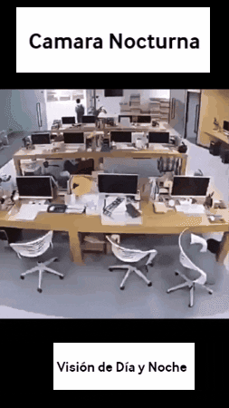 stoicoral giphyupload GIF