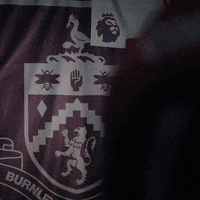 Intimidate Premier League GIF by Burnley Football Club