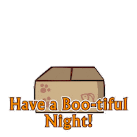 Seekers Notes Cat Sticker by MYTONA