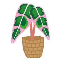 Summer Plants Sticker