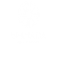 Agro Alho Sticker by Shimada Agronegócios