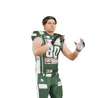 Catch Rannfl Sticker by Schwäbisch Hall Unicorns