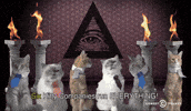conspiracy GIF