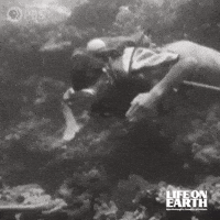 Black And White Vintage GIF by PBS