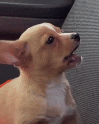 Yawn GIF by Respective