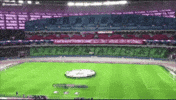 Azerbaijan Flag Turk GIF by TempInbox
