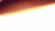 Celebration Goal GIF by FC Red Bull Salzburg