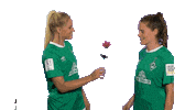 Rose Werderfrauen Sticker by SV Werder Bremen