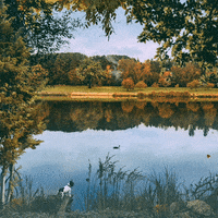 virtart_gallery fall autumn landscape river GIF