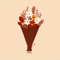 Flower Fall GIF by Jessica Lau