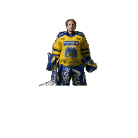 Jubel Sticker by Storhamar Hockey