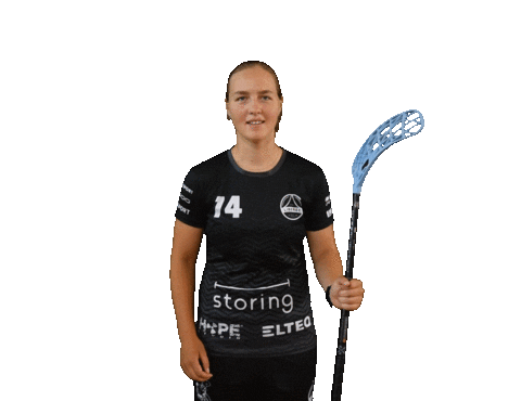 Floorball Sticker by Český florbal