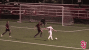 St Johns Goal Celebration GIF by St. John's Red Storm