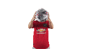 Manchester United Football Sticker by Barclays FAWSL