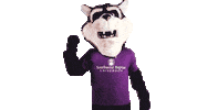 Missouri Bearcat Sticker by Southwest Baptist University