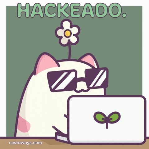 Kitty Hacking GIF by Castaways