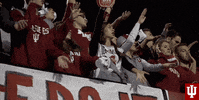 College Sports Sport GIF by Indiana Hoosiers