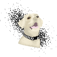 French Love Sticker by Mysmo