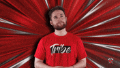 Brawl Stars Idk GIF by Tribe Gaming
